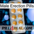 Male Erection Pills levitra1